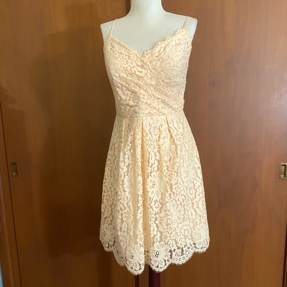 NWT Christina Wu lace party dress